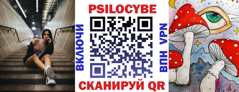 Псилоцибиновые грибы Psilocybe  Купить где  Гулькевичи 